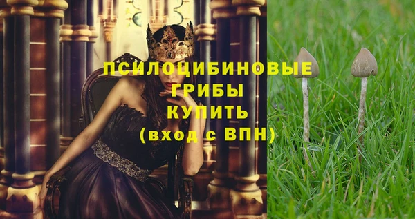 mix Сатка