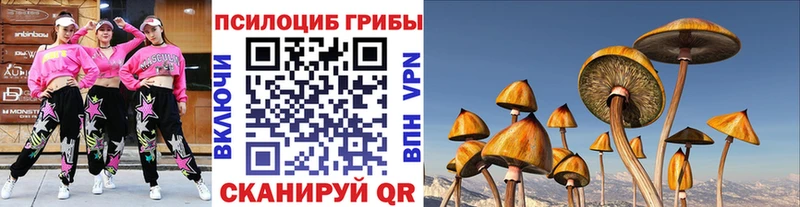 Галлюциногенные грибы мицелий Вятские Поляны